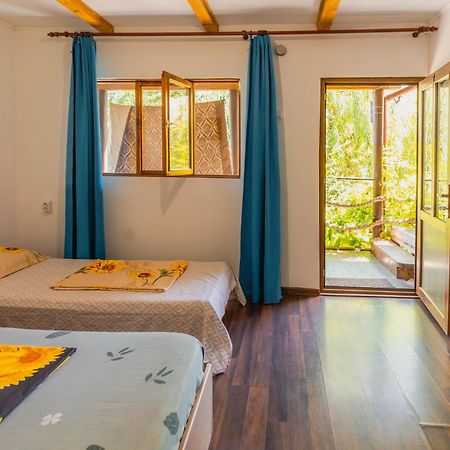 Casa Dexter Otel Vama Veche Dış mekan fotoğraf