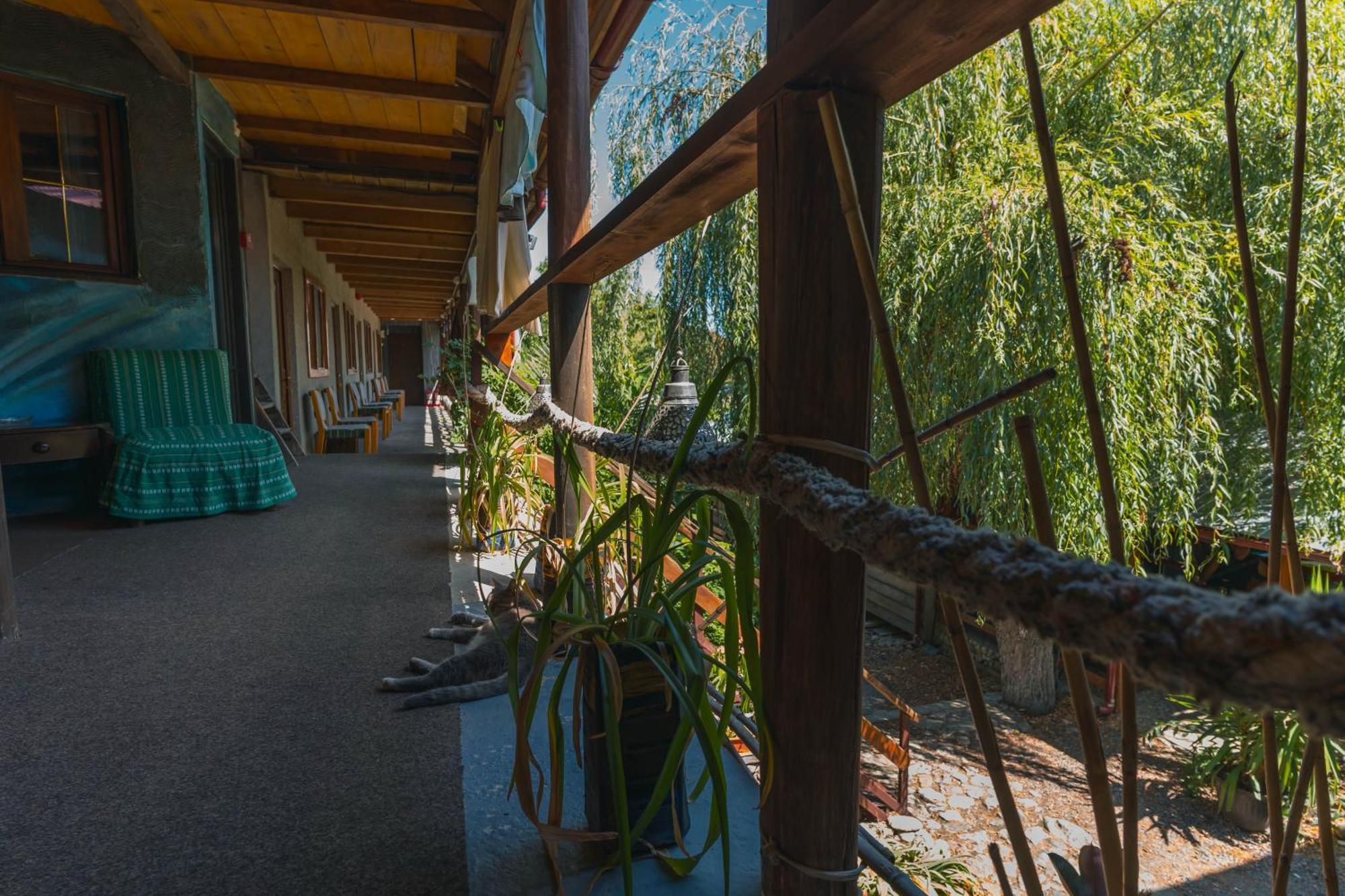 Casa Dexter Otel Vama Veche Dış mekan fotoğraf